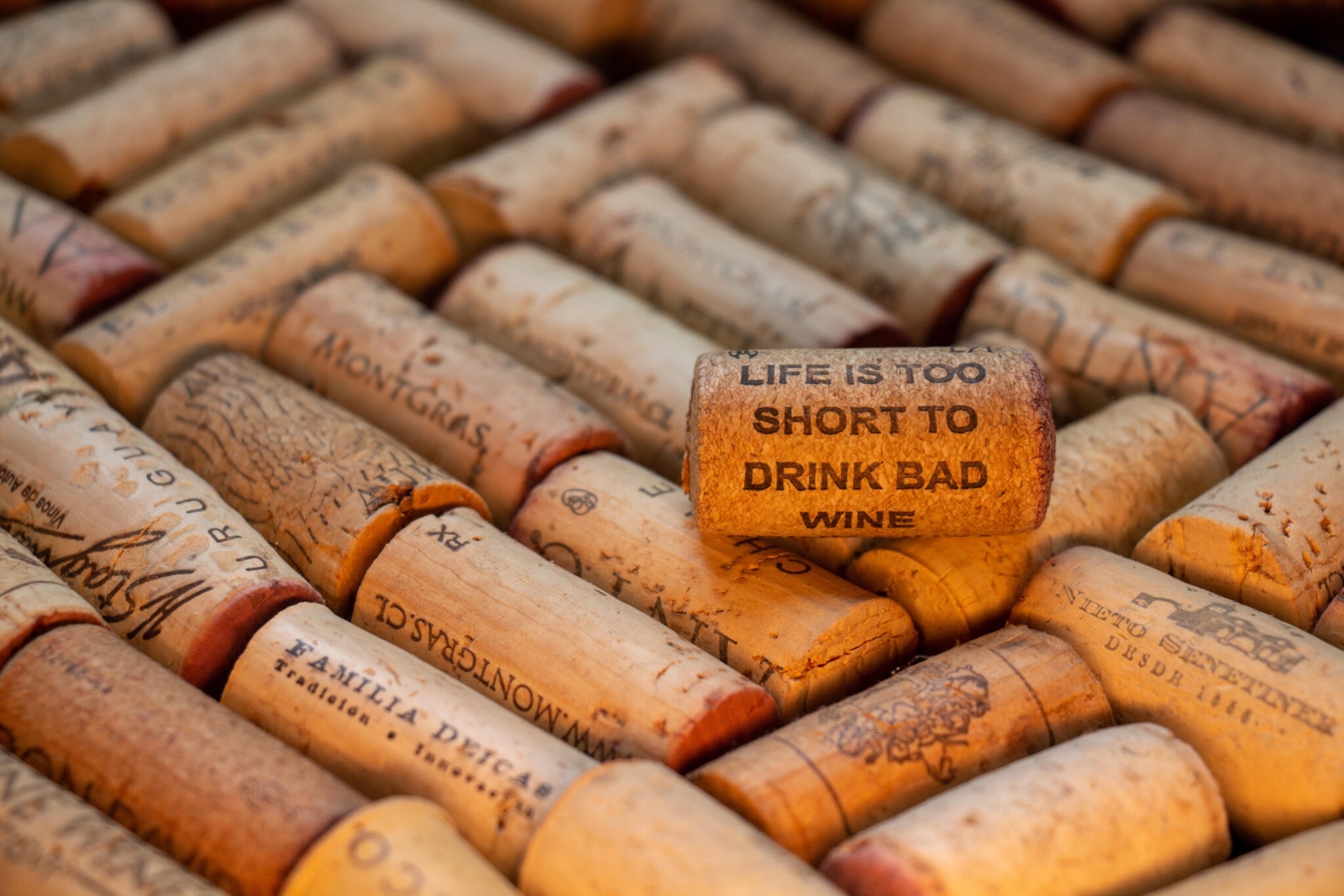 A bed of wine corks with one resting on top reading 'Life is too short to drink bad wine'