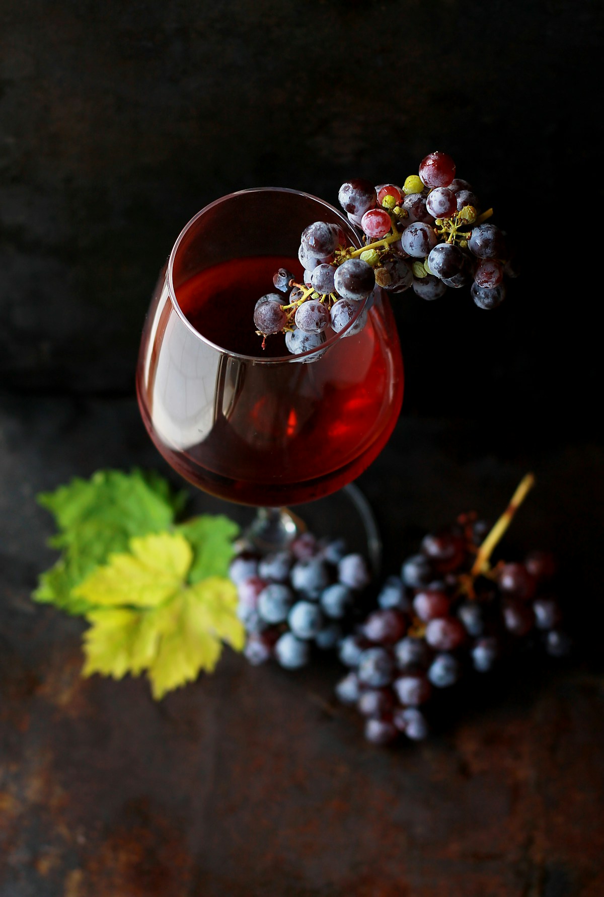 Bunches of wine grapes on the vine