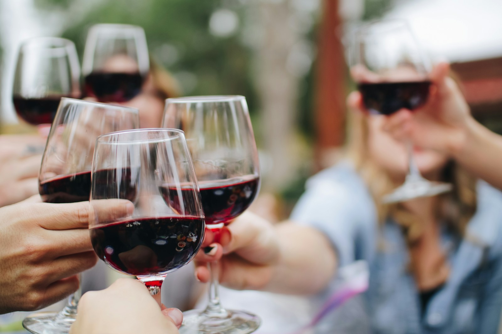 Wine glasses arranged for a tasting